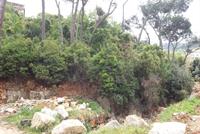 Land For Sale In Beit Chabeb