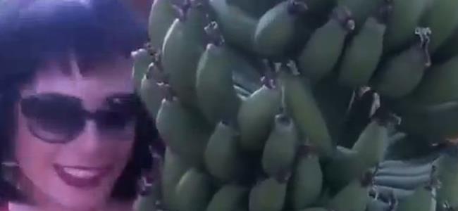 عادل كرم يستضيف زيزي.. ومفاجأة في الحلقة