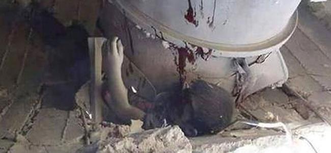 الطفل الذي هزّ العالم بصوره! 