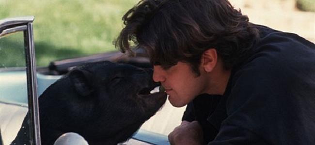 لن تصدّقوا ماذا يخبئ مشاهير هوليوود في منازلهم