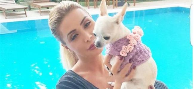 حين يعيش النجوم قصّة حبّ مشتركة