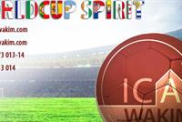 World Cup Spirit 