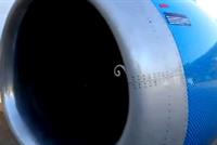 ماذا حصل لنيكول على متن الطائرة؟