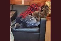  بالصورة - هيفا وهبي نائمة في المطار 