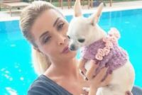 حين يعيش النجوم قصّة حبّ مشتركة