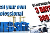 Website In 3 DAYS For 300 $ ONLY