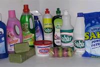 Household Detergents