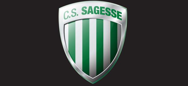 الحكمة الاكثر جماهيرية في بطولة كرة السلة 2014