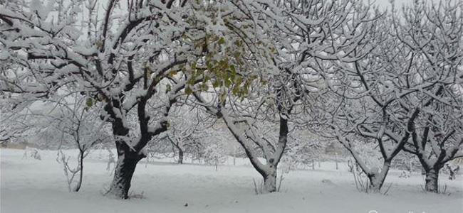 أجمل الصور للجنرال الابيض