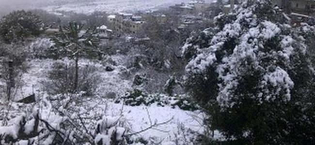 العواصف ليست كلها نسائية