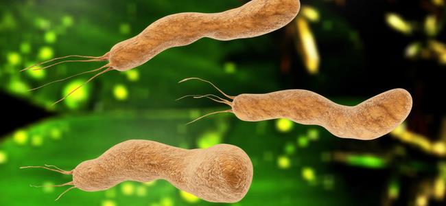 نصف العالم مصاب بهذا المرض!