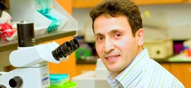 عالم لبناني قتلته زوجته بالرصاص في أميركا وانتحرت