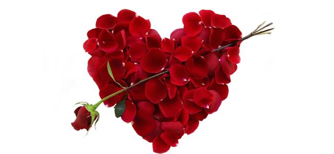 كيف تتخطى يوم عيد الحب من دون حبيب