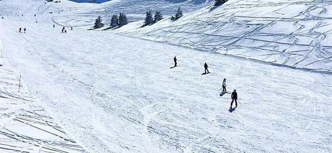 بالصور: الأعجوبة اللبنانيّة تتحقّق!