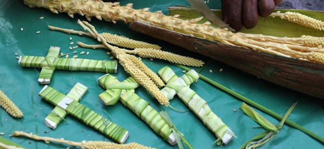 ما معنى كلمة شعانين؟