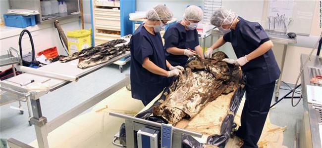  بالفيديو: ما الذي وجده علماء الآثار داخل تابوتٍ من القرن السابع عشر؟