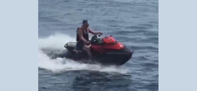 بالفيديو: من البرلمان الى الـ 