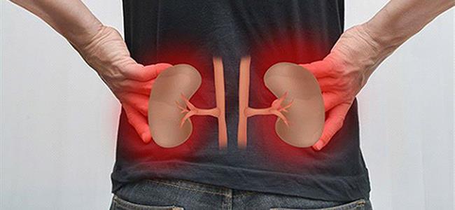  لتنظيف الكلى.. أكثروا من هذه الأطعمة!