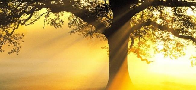 جهنم في لبنان قريباً؟ هذه توقعات الطقس..