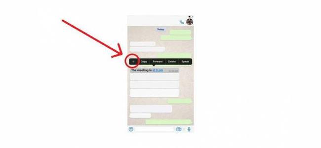 آخر ميزة من واتس أب