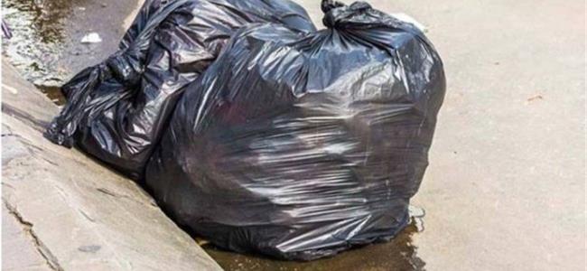  بالفيديو.. شاهدوا شيئاً يتحرك داخل كيس النفايات.. غيّر حياتهم للأبد!