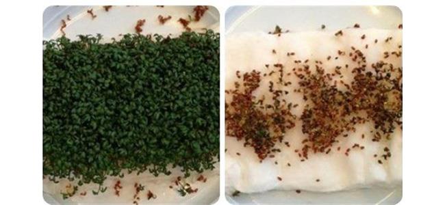  لن تجرؤ على النوم بجوار هاتفك بعد رؤية هذه الصورة المرعبة!