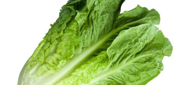 هذا ما يفعله تناول الخس بالجسم