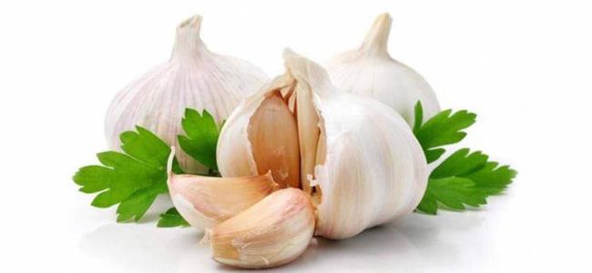 6 أمراض يعالجها الثوم.. اكتشفها