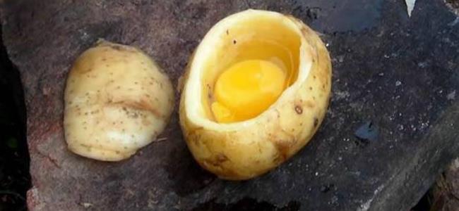وضع هذا الرجل بيضة في حبة بطاطا...فكرة فريدة من نوعها!!