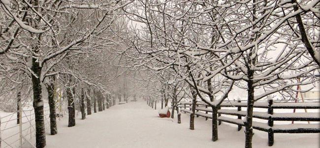  أمطار غزيرة وثلوج...كارلو آت إلينا!