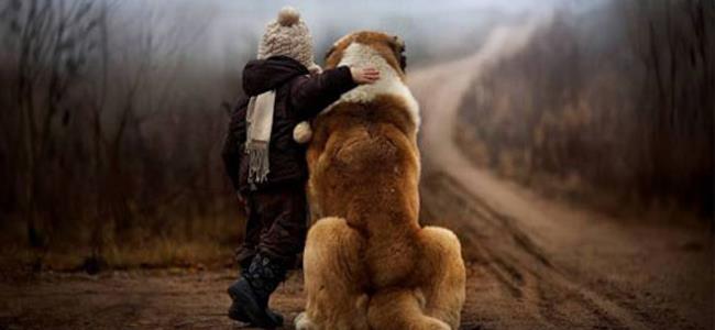 لراحة بالكم… اشتروا كلباً لأولادكم لهذا السبب