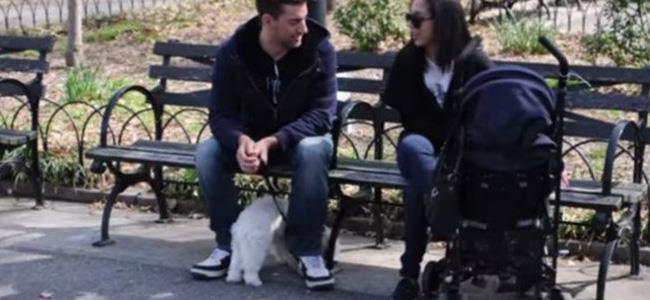  فيديو صادم عن طريقة سرقة الأطفال من الحدائق!