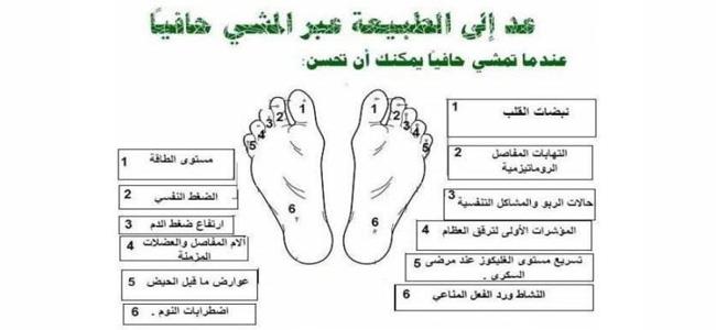 ماذا يحدث للجسم عندما نمشي حفاة 5 دقائق كل يوم؟ 