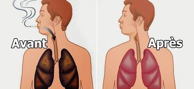 4 مأكولات مدهشة.. لتنظيف رئتيك