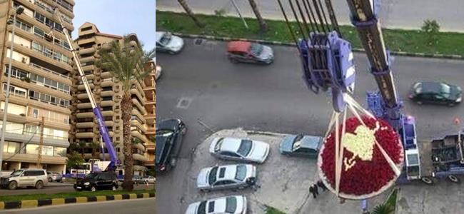 عندما تكون الهدية عملاقة تحتاج إلى رافعة!