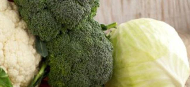 الملفوف يوقف نمو السرطان