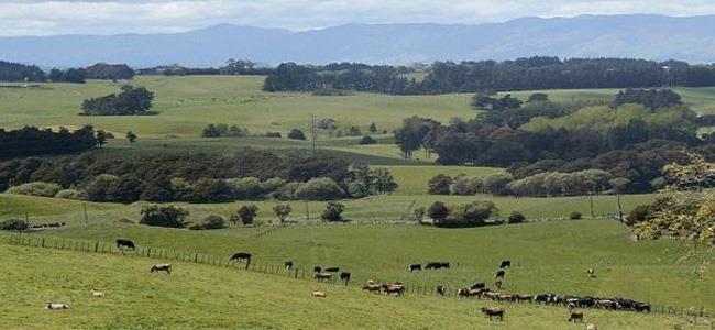 وظيفة براتب 400 ألف دولار سنويا... لا أحد يقبل بها!