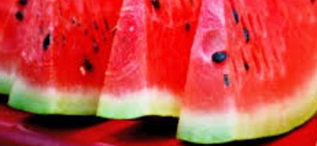 البطيخ فضحهم 