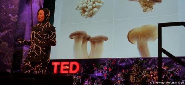 فطر يلتهم جسم الإنسان وينظفه من سموم البيئة