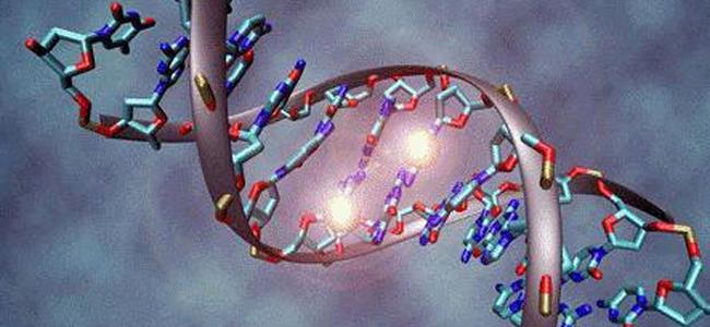 ما لا تعرفونه عن الحمض النووي