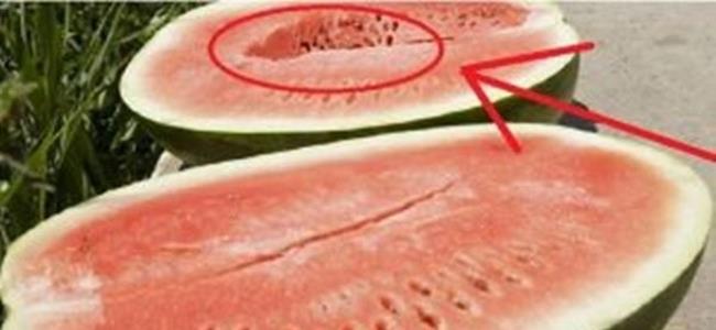 لا تأكلوا البطيخ الأحمر أبداً في هذه الحالة