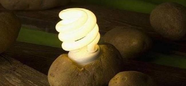 بالفيديو: بطاطا واحدة كفيلة بإضاءة غرفتك لـ40 يوما!