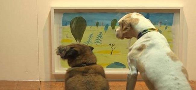 الأن بإمكان كلبك تقدير الفن أيضا!