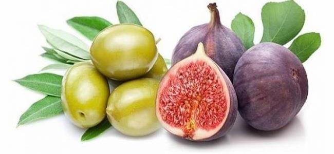 ماذا يحدث لجسم الانسان عند تناول التين والزيتون معاً؟