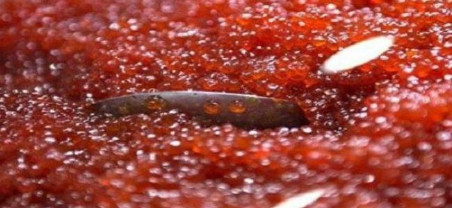 سرقة بالملايين والأسلوب غريب جدّاً