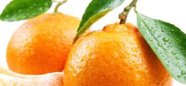  ما هي فوائد تناول الأفندي في فصل الشتاء؟