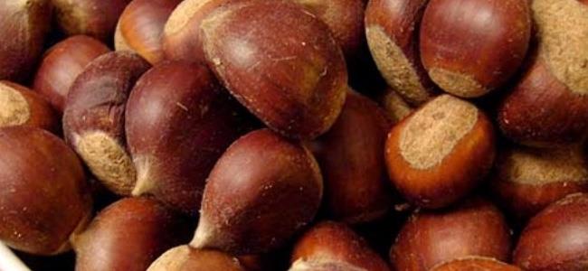 الكستناء.. 4 حبّات في اليوم تصنع العجائب