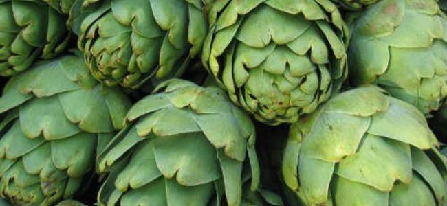 الأرضي شوكي والبصل والكرفس ثلاثي مكافحة الأرق والقلق والخوف