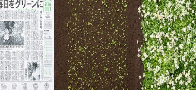 صحيفة يمكن زرعها وتحويلها إلى أزهار في اليابان