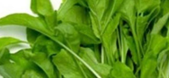  فوائد مذهلة لأوراق الجرجير... تعرفوا إليها!